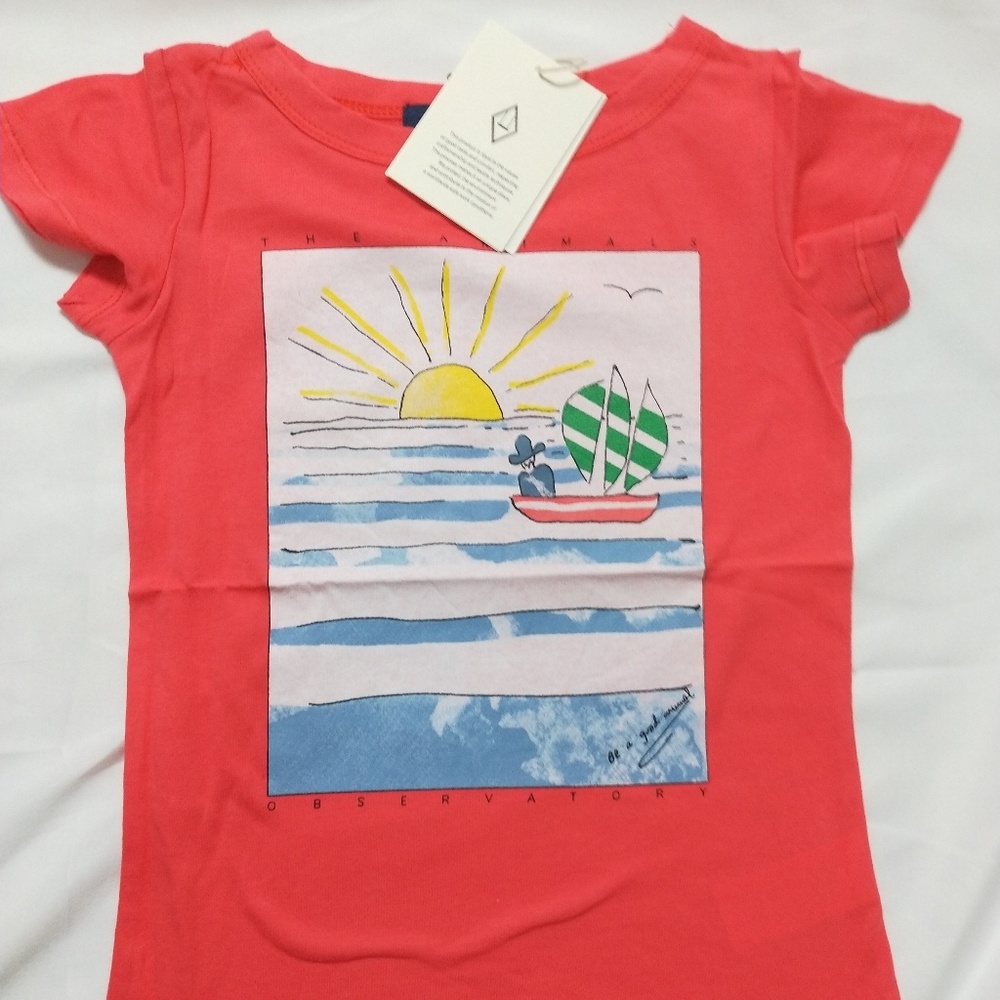 THE ANIMALS OBSERVATORY